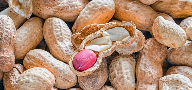 redskin peanuts