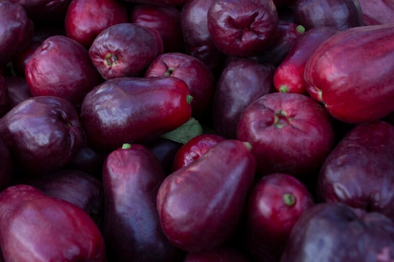 Jamaican Apple (Otaheite): Everything You Need to Know