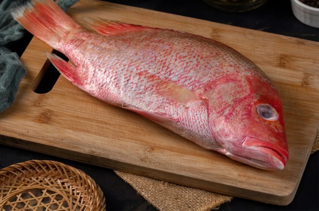 red-snapper-fish